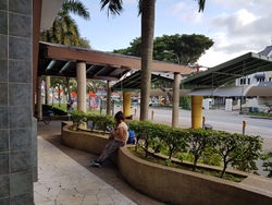 Eastwood Centre (D16), Retail #157829752